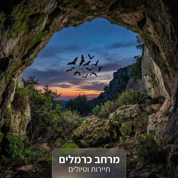 עששיות במערה בכרמל